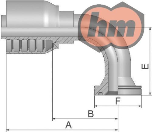 (16N73-16-12-1P) SFS 90° 6000psi, 1", 47,63mm, DN19